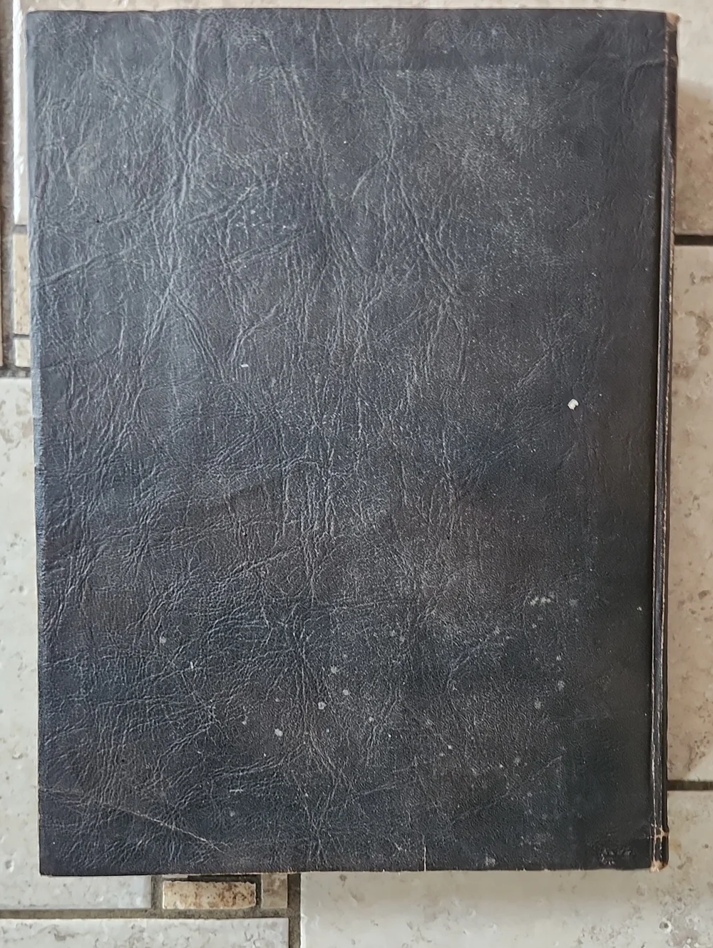 The Volume Library Leather Book By Abram Royer Brubacher 1924 Copyright